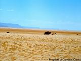 YEMEN (03) - Deserto del Ramlat as-Sab'atayn - 03